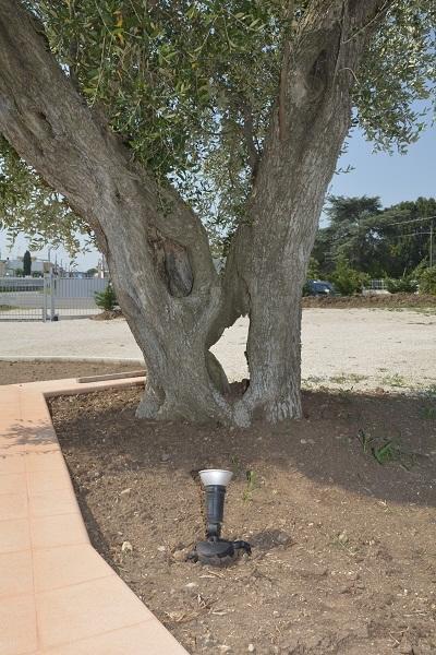 Agriturismo Tenuta Don Giovanni Melendugno Dış mekan fotoğraf