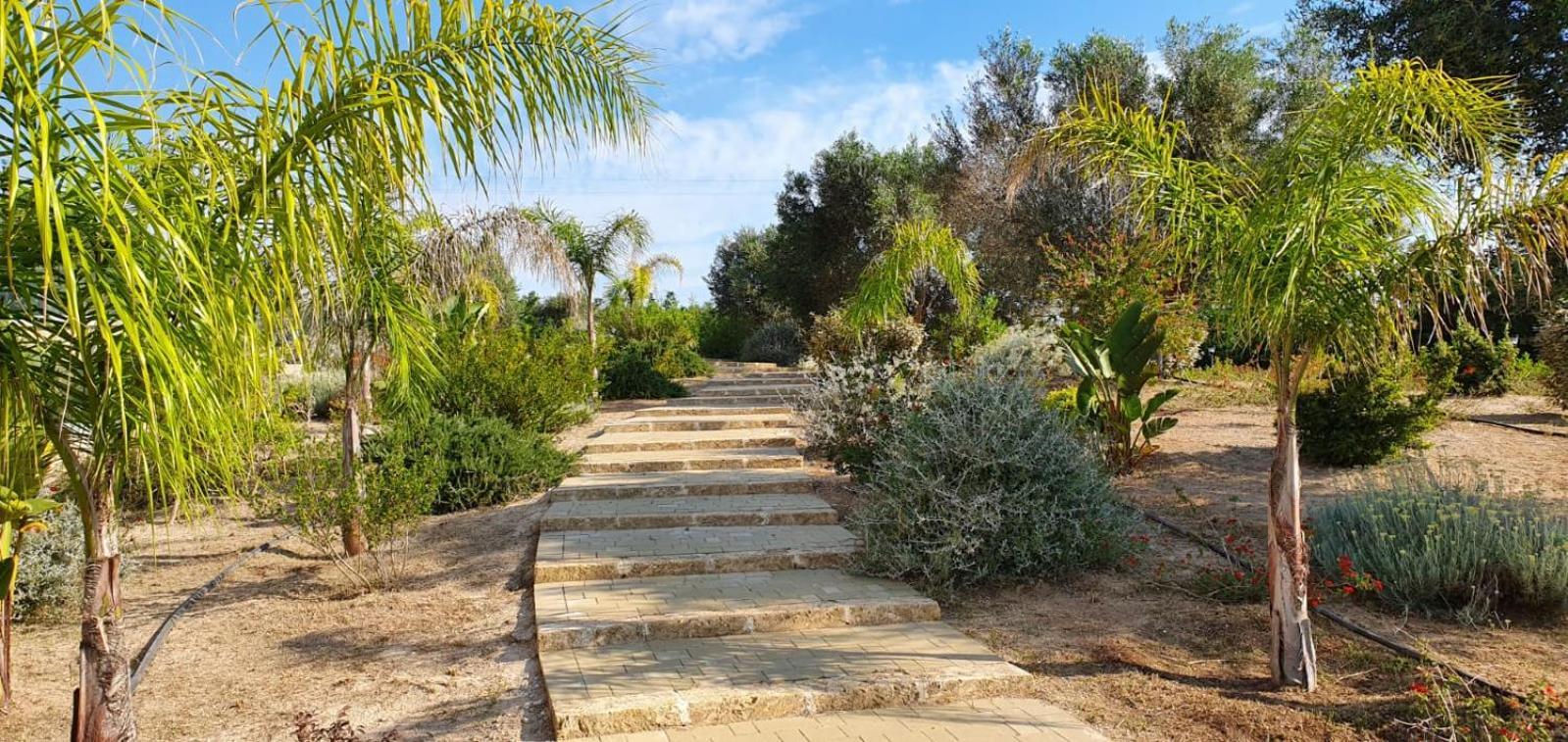 Agriturismo Tenuta Don Giovanni Melendugno Dış mekan fotoğraf