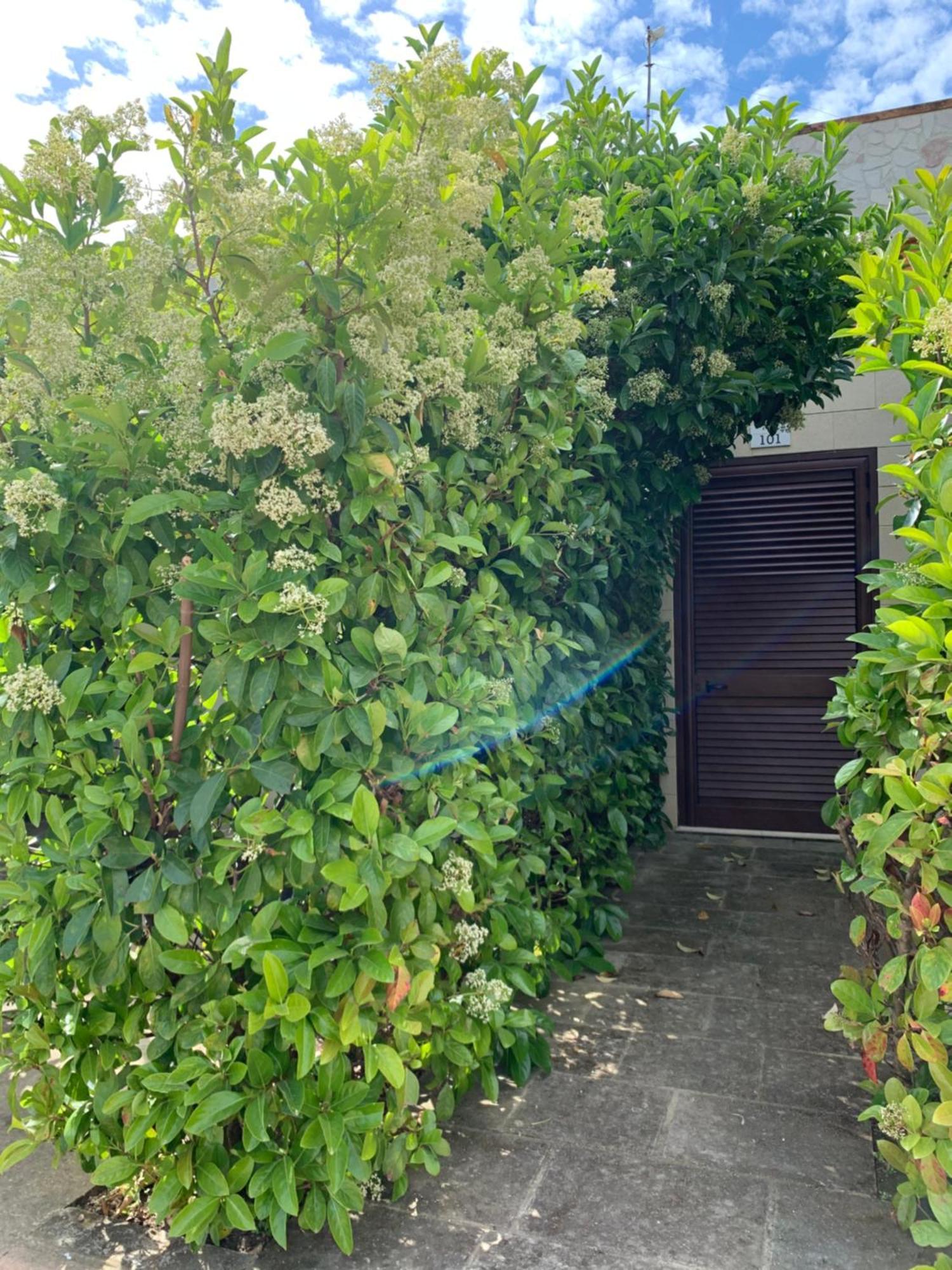 Agriturismo Tenuta Don Giovanni Melendugno Dış mekan fotoğraf